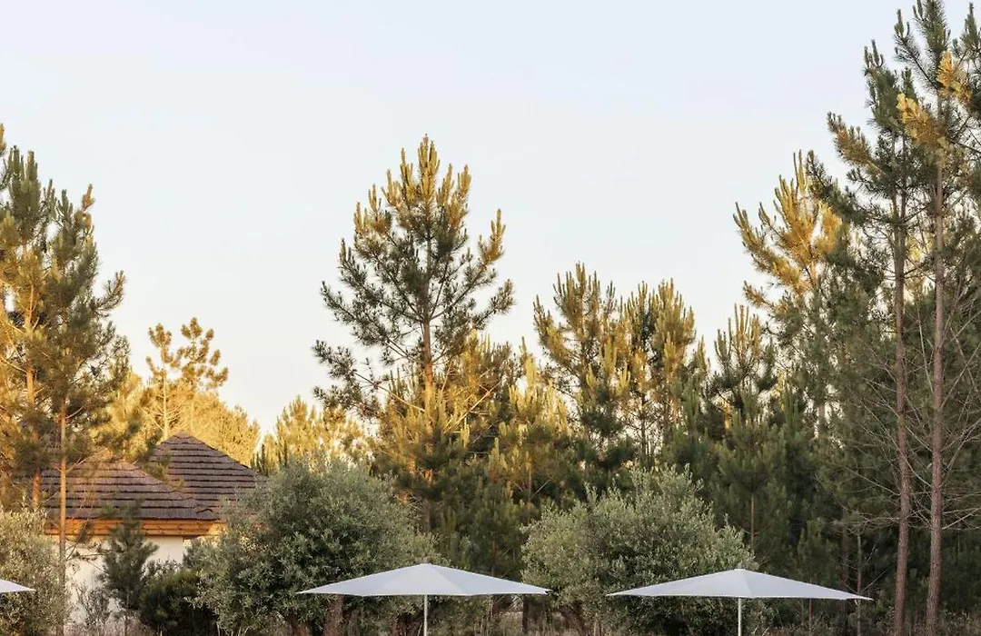 Spatia Comporta, A Member Of Design Hotels-1
